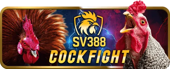 Cấp độ VIP Bạch Kim bay365 login